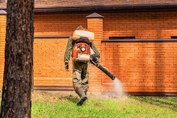 Trusted Ant Control service in Palm Valley, FL - Nex Pest Control